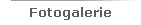 Fotogalerie