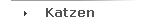 Katzen