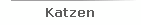 Katzen